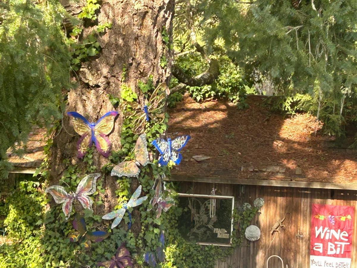 Foothill House Bed & Breakfast Calistoga Dış mekan fotoğraf