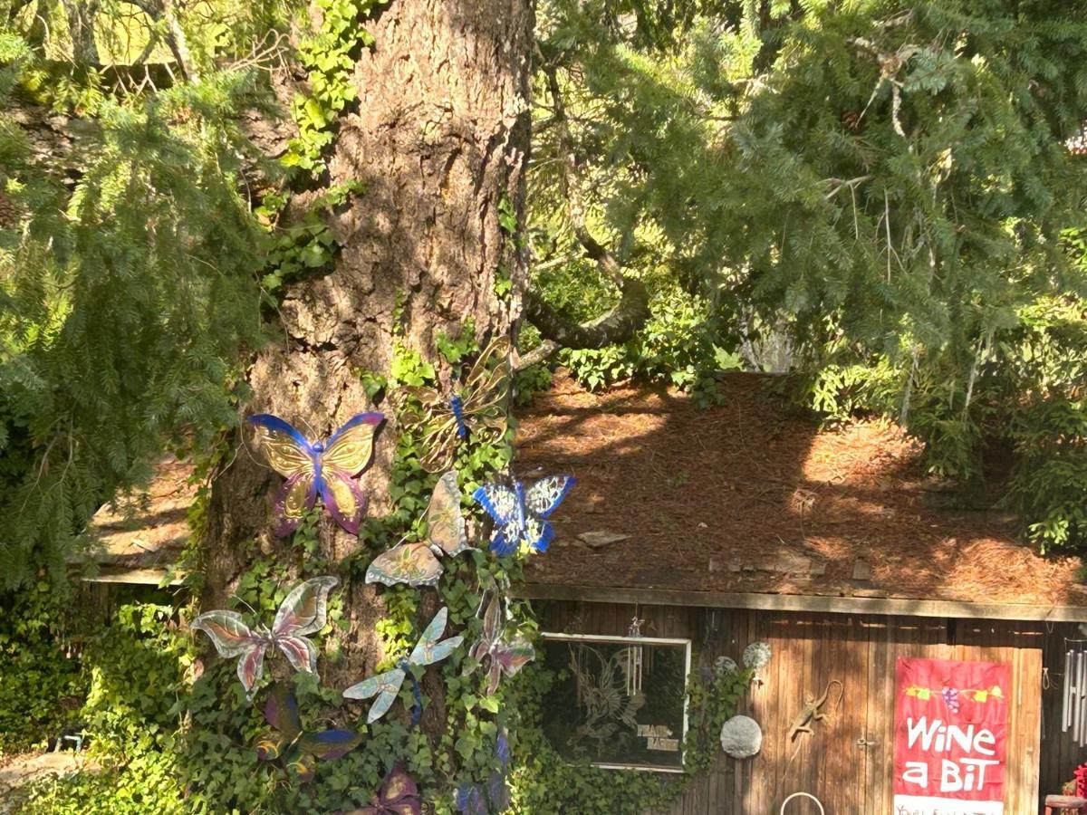 Foothill House Bed & Breakfast Calistoga Dış mekan fotoğraf